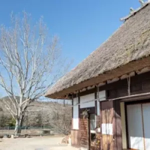 和モダン住宅の外観デザイン成功の秘訣とは？のサムネイル